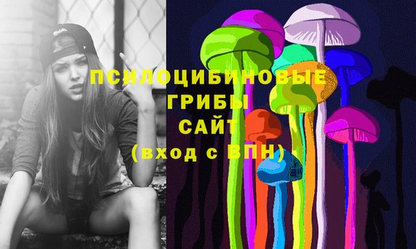 СК Киреевск