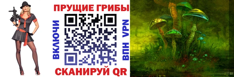 Купить закладки  Белебей  Галлюциногенные грибы MAGIC MUSHROOMS 